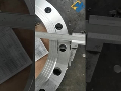 맞춤형 전문 스테인리스 스틸 304 316 평면 플랜지 고강도 ANSI JIS 표준