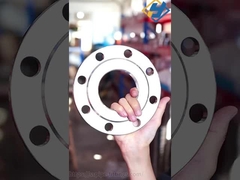 스테인리스 스틸 304 304L 316 316L RF 암나사 BSP NPT 나사산 스크류 플랜지