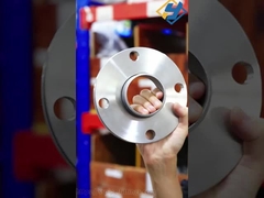 스테인리스 스틸 루즈 플랜지 304 SS 백킹 플랜지/링 플레이트 루즈 플랜지