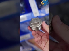 316 육각 소켓 플러그 스테인리스 스틸 피팅 BSP 나사산 단조