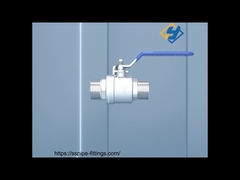 Stainless Steel Valve Double Male Thread Ball Valve MxM Ball Valve